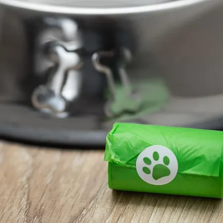 Margi Flair Pool Sauna Jacuzzi 슈체친